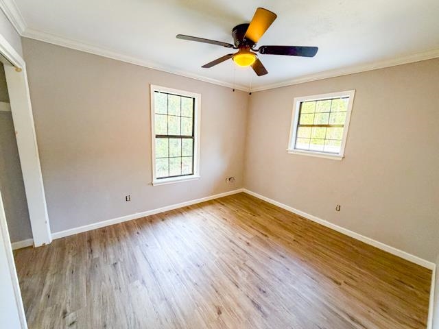 4238 Natural Bridge Road Tallahassee, FL 32305 - Photo 41 of 70 Gallery Image 41