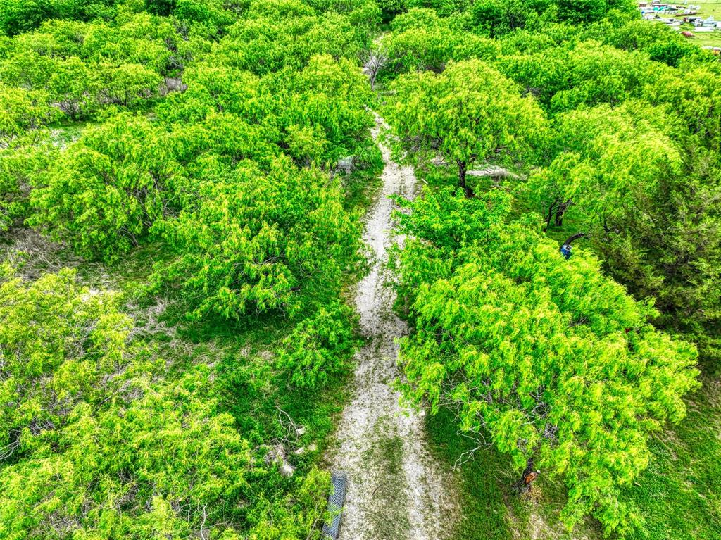 206 185th Rice, TX 75155 - Photo 14 of 23 a view of a lush green forest