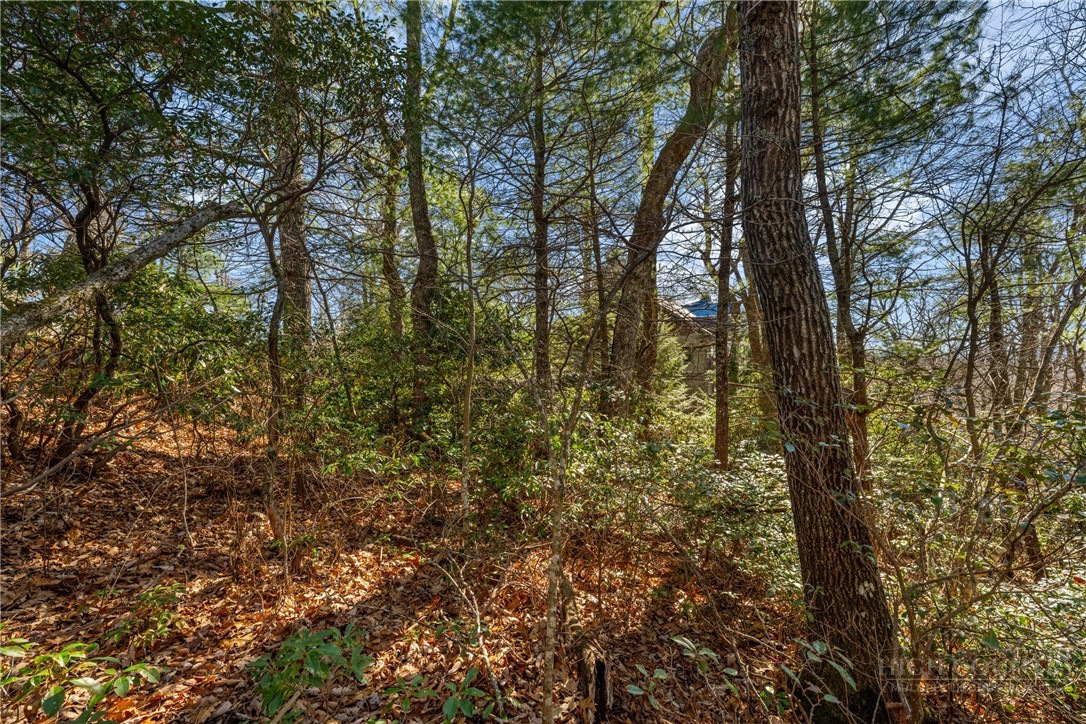 Lot 61 Boone Coffey Trail Boone, NC 28607 - Photo 7 of 22