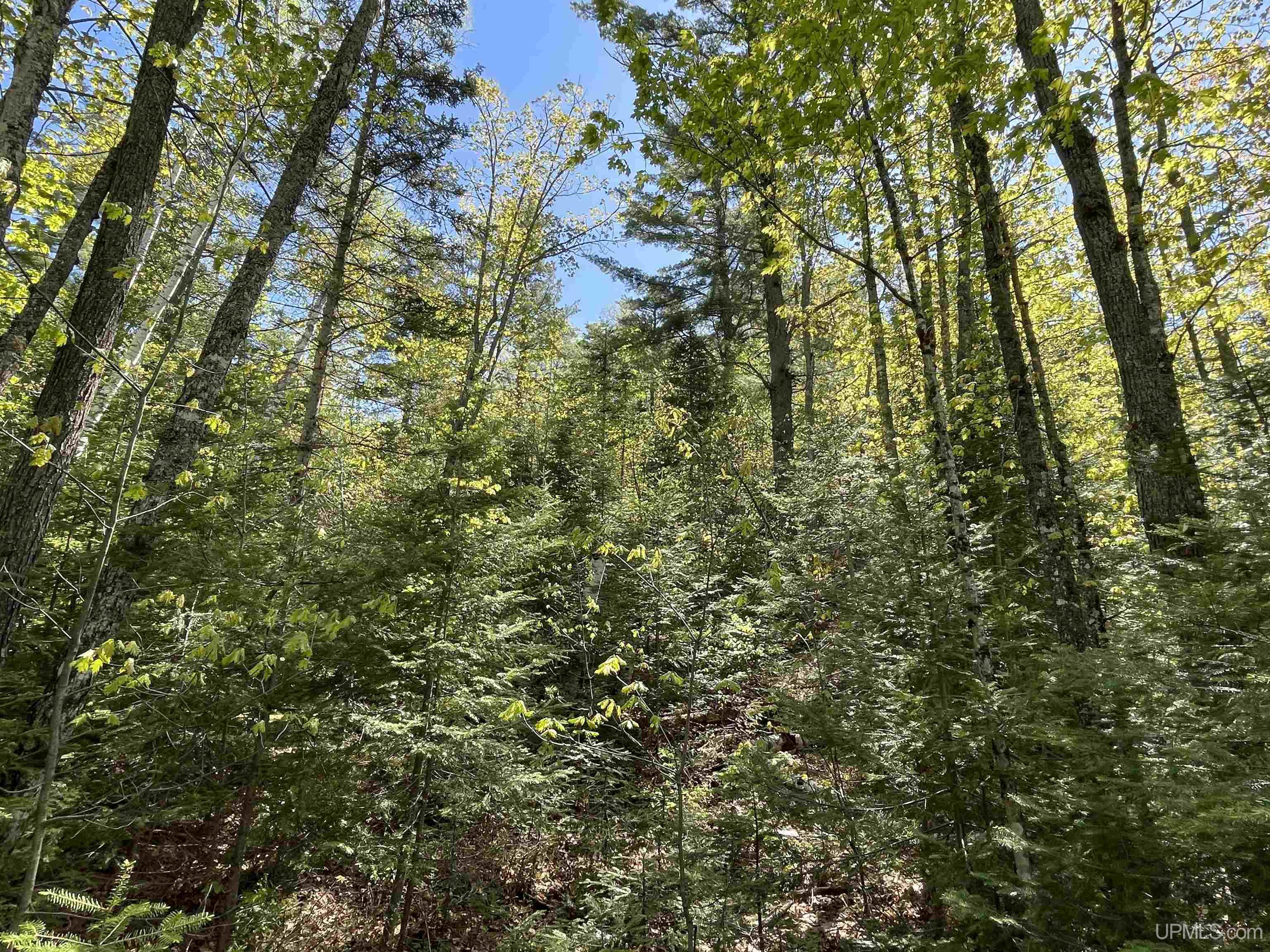 2546 Co Road Ishpeming, MI 49849 - Photo 47 of 53