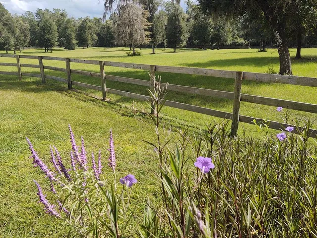 a view of a park with large trees