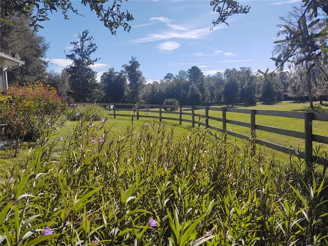 a yellow and red umbrella in a garden
