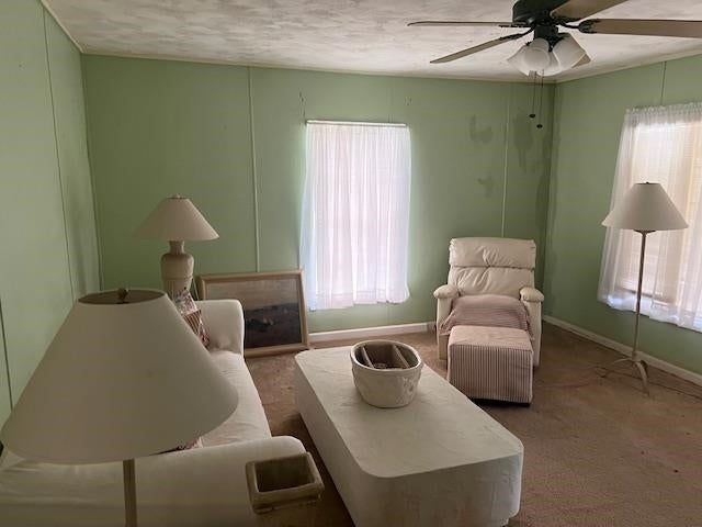 13641 Rockhole Bridge Road Andalusia, AL 36420 - Photo 7 of 28 Gallery Image 7