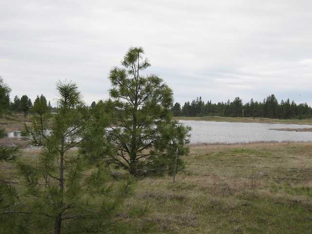 29008 South Boston Road Cheney, WA 99004 - Photo 3 of 3