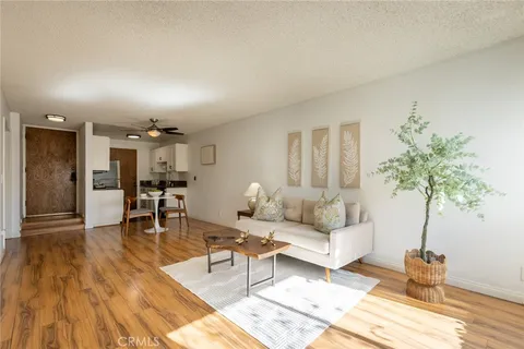 a living room with furniture and a potted plant