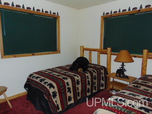 15195 County Road 505 Road Newberry, MI 49868 - Photo 11 of 13