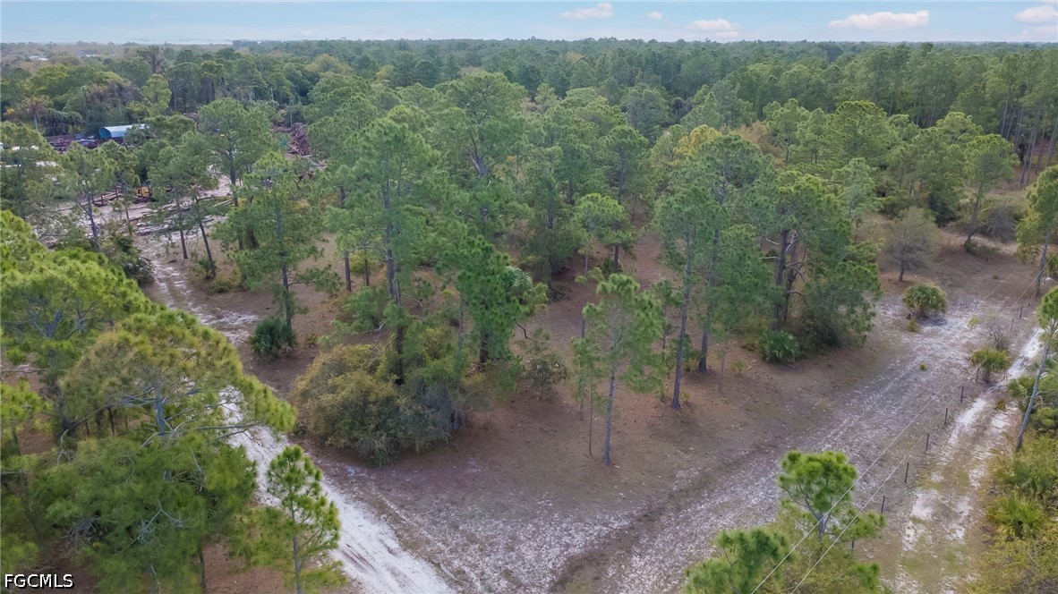 4110 East 23rd Street Alva, FL 33920 - Photo 34 of 38 an aerial view of a forest with houses