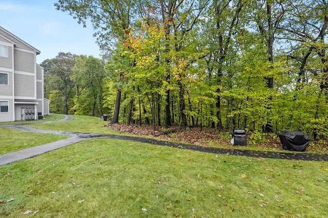 a view of a backyard with potted plants and large trees