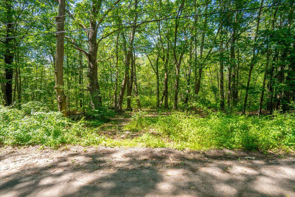 1 Coolidge Avenue Portland, ME 04103 - Photo 17 of 25 38_DSC08556