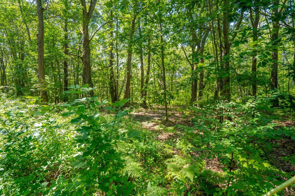 1 Coolidge Avenue Portland, ME 04103 - Photo 19 of 25 40_DSC08562