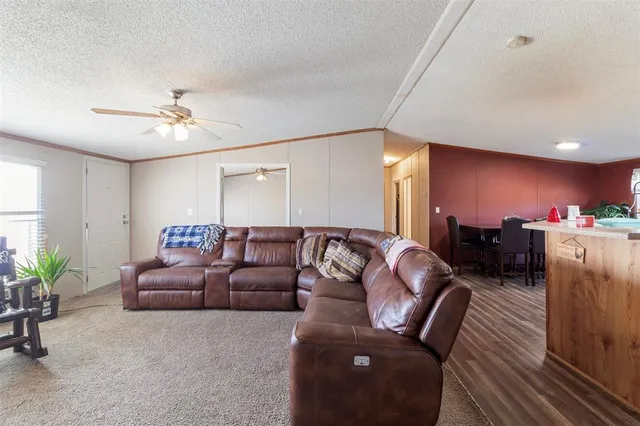a living room with furniture ceiling fan and a potted plant