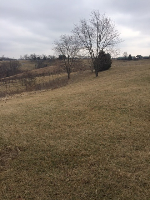 1660 Georgetown Road Owenton, KY 40359 - Photo 5 of 9