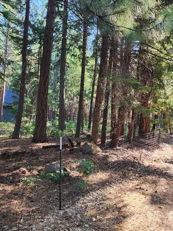 a backyard of a house with trees and outdoor seating