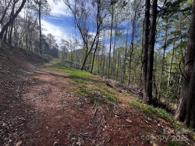 a view of backyard with green space