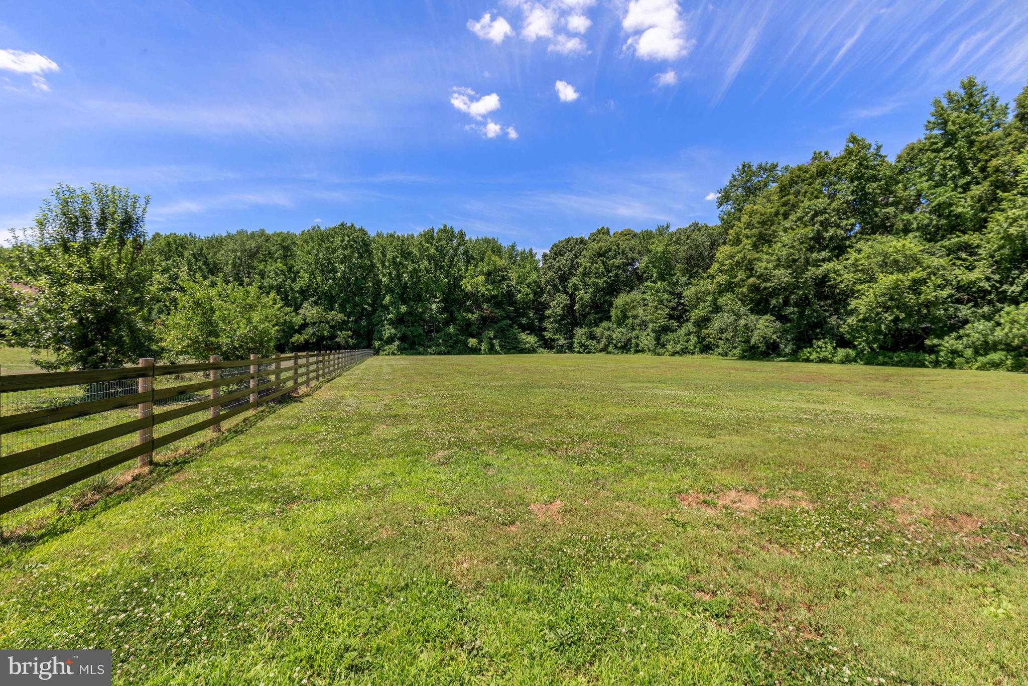 1525 East Denneys Road Dover, DE 19901 - Photo 44 of 69 Pasture