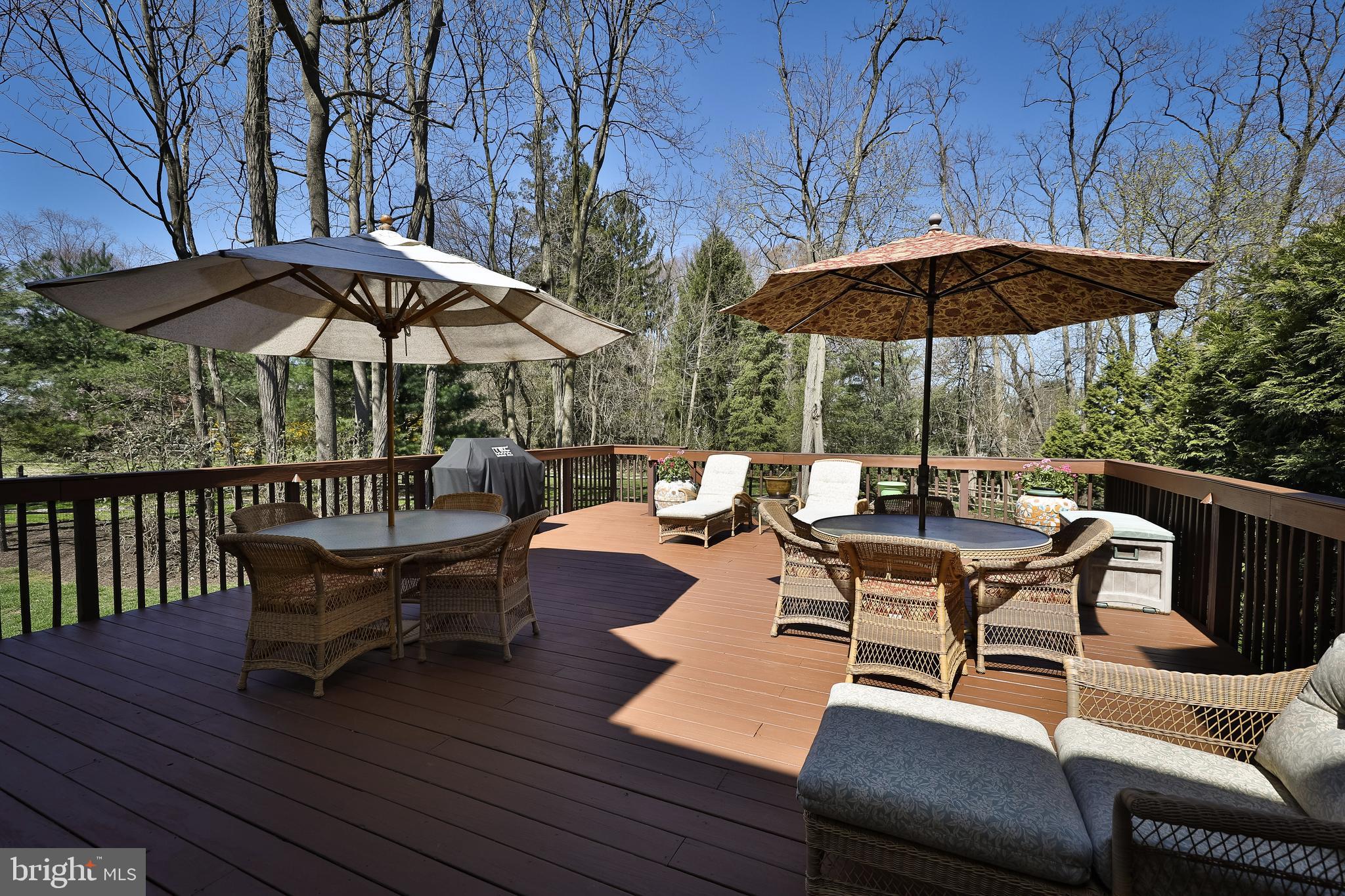 295 Pinecroft Place Ambler, PA 19002 - Photo 33 of 37 Views, Views and more Views!