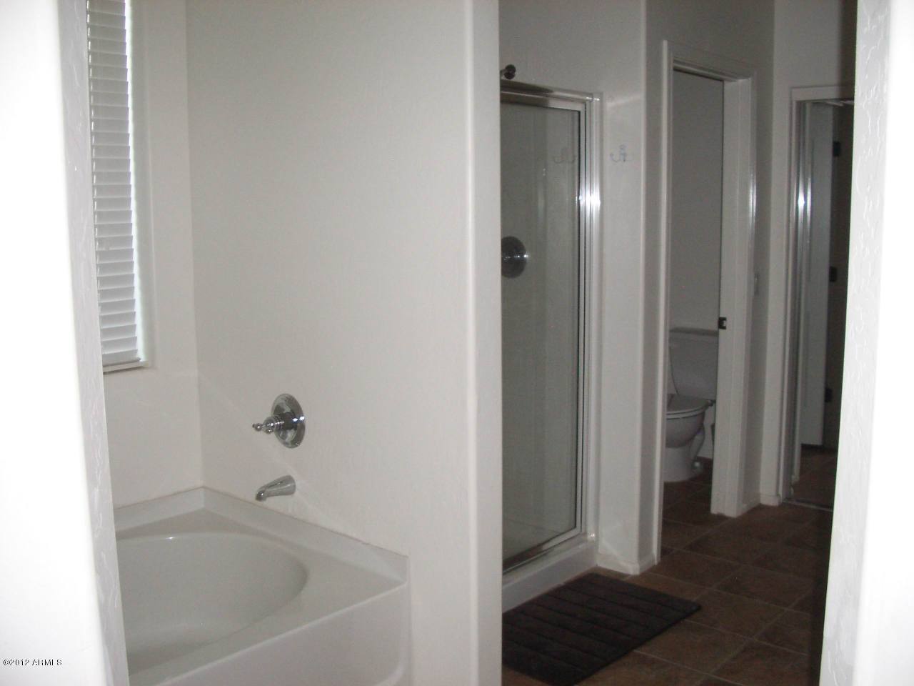 43827 Roth Road Maricopa, AZ 85138 - Photo 8 of 32 Large Master Bathroom
