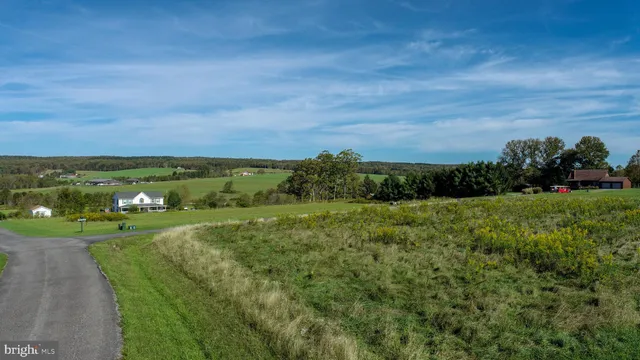 a view of a field with an ocean