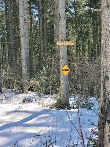 $75,000 | 210 Cow Hill Road, Peacham, VT 05873