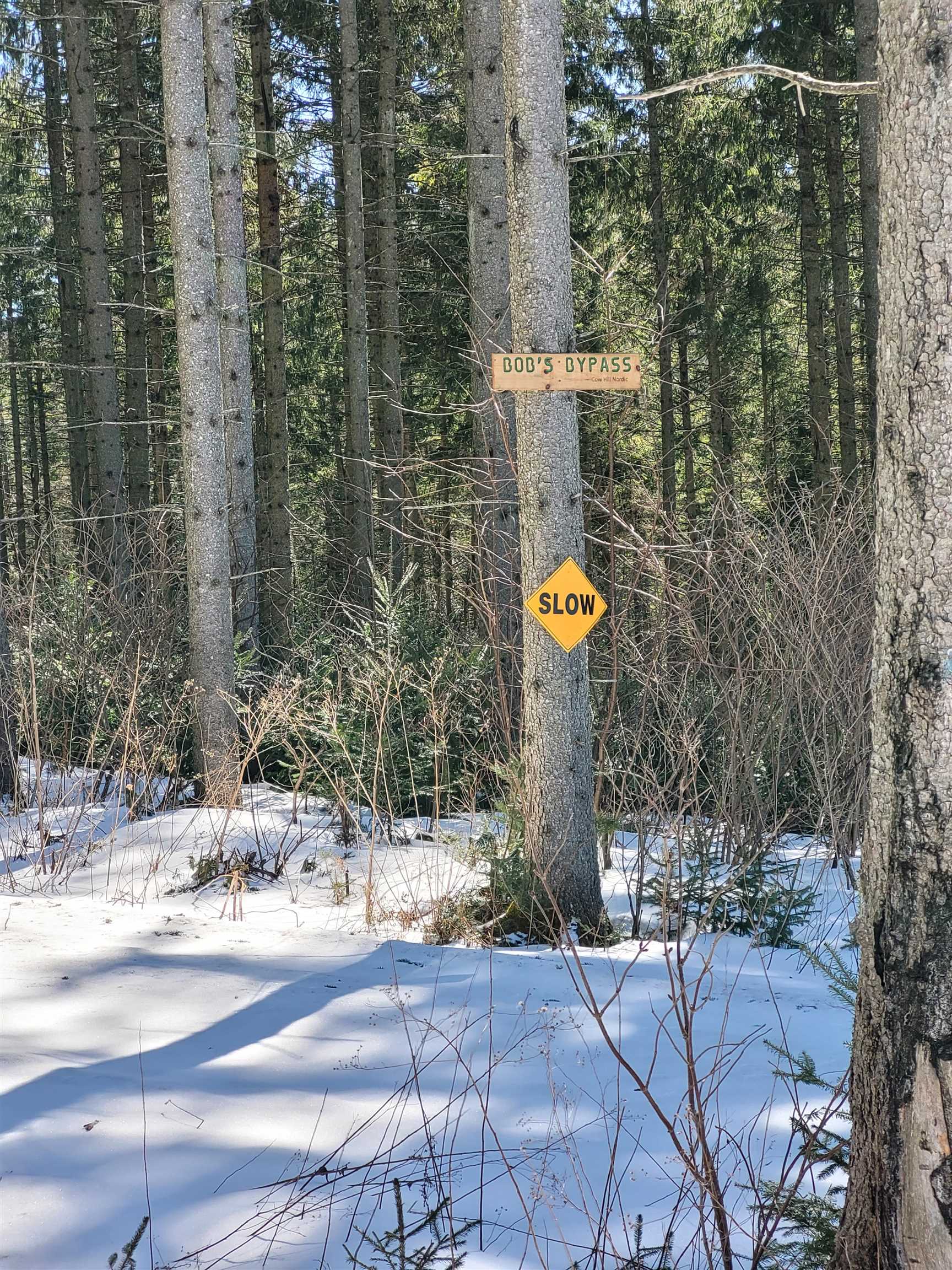 210 Cow Hill Road Peacham, VT 05873 - Photo 11 of 12