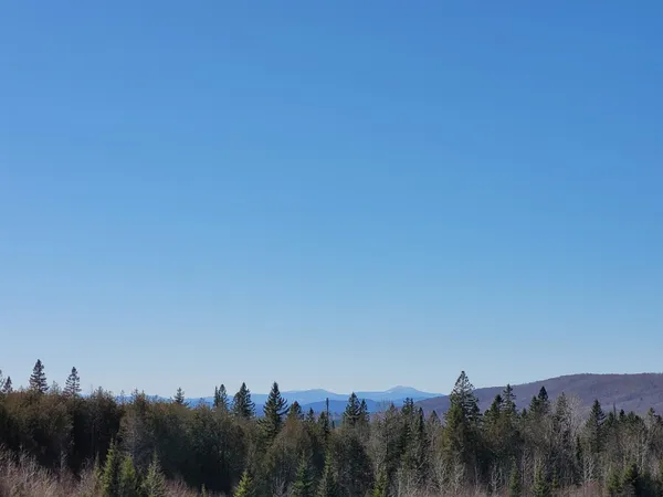 $75,000 | 210 Cow Hill Road, Peacham, VT 05873