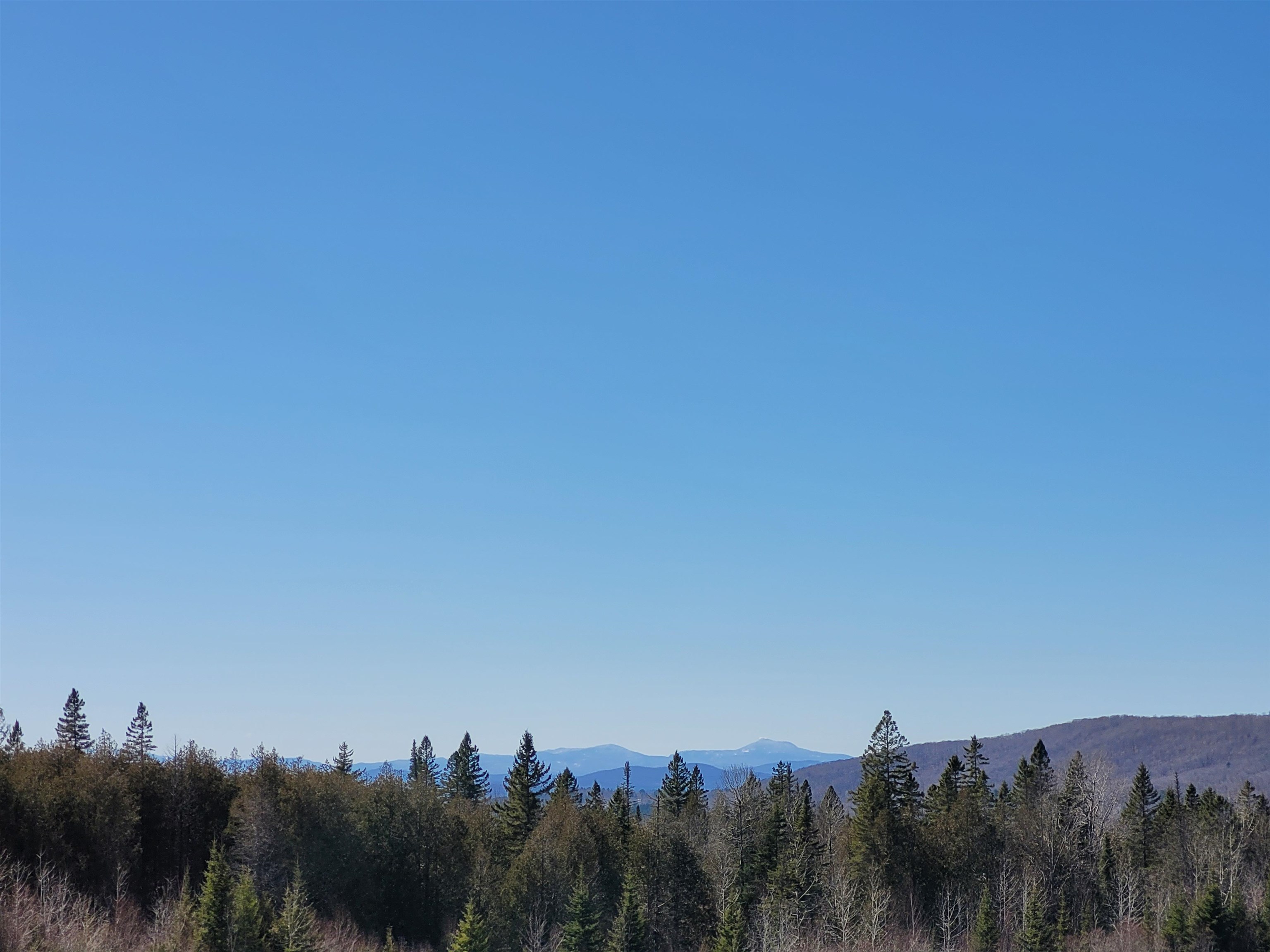 210 Cow Hill Road Peacham, VT 05873 - Photo 3 of 12