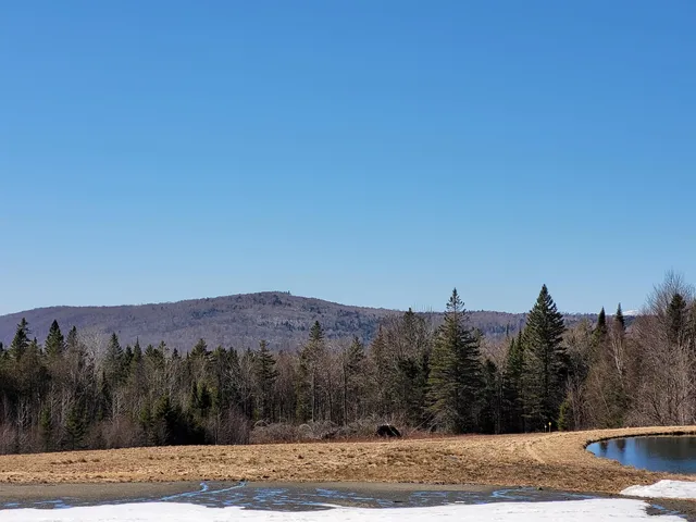 $75,000 | 210 Cow Hill Road, Peacham, VT 05873