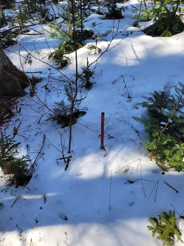 $75,000 | 210 Cow Hill Road, Peacham, VT 05873