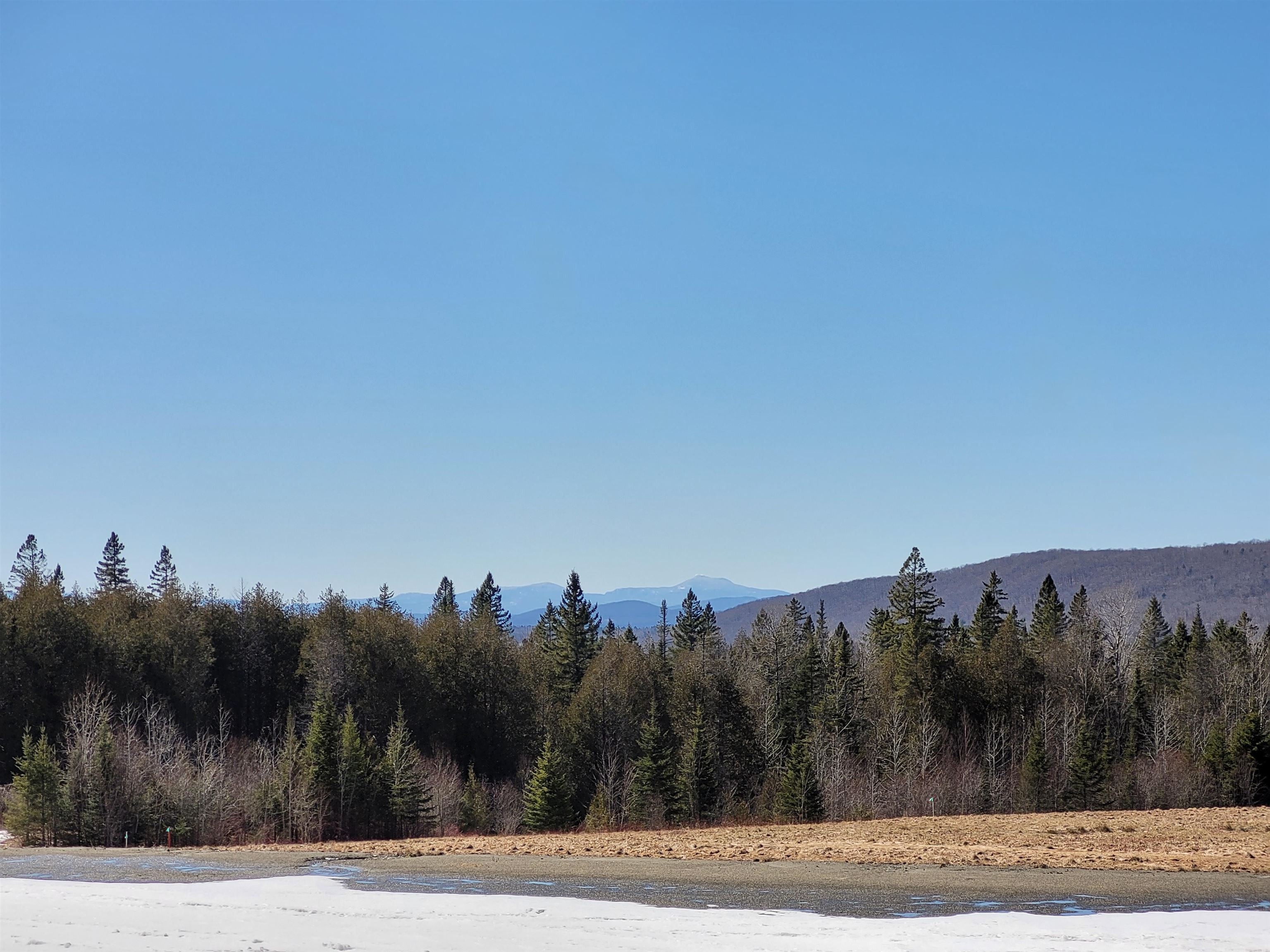 210 Cow Hill Road Peacham, VT 05873 - Photo 9 of 12