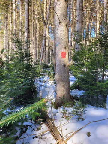 $75,000 | 210 Cow Hill Road, Peacham, VT 05873