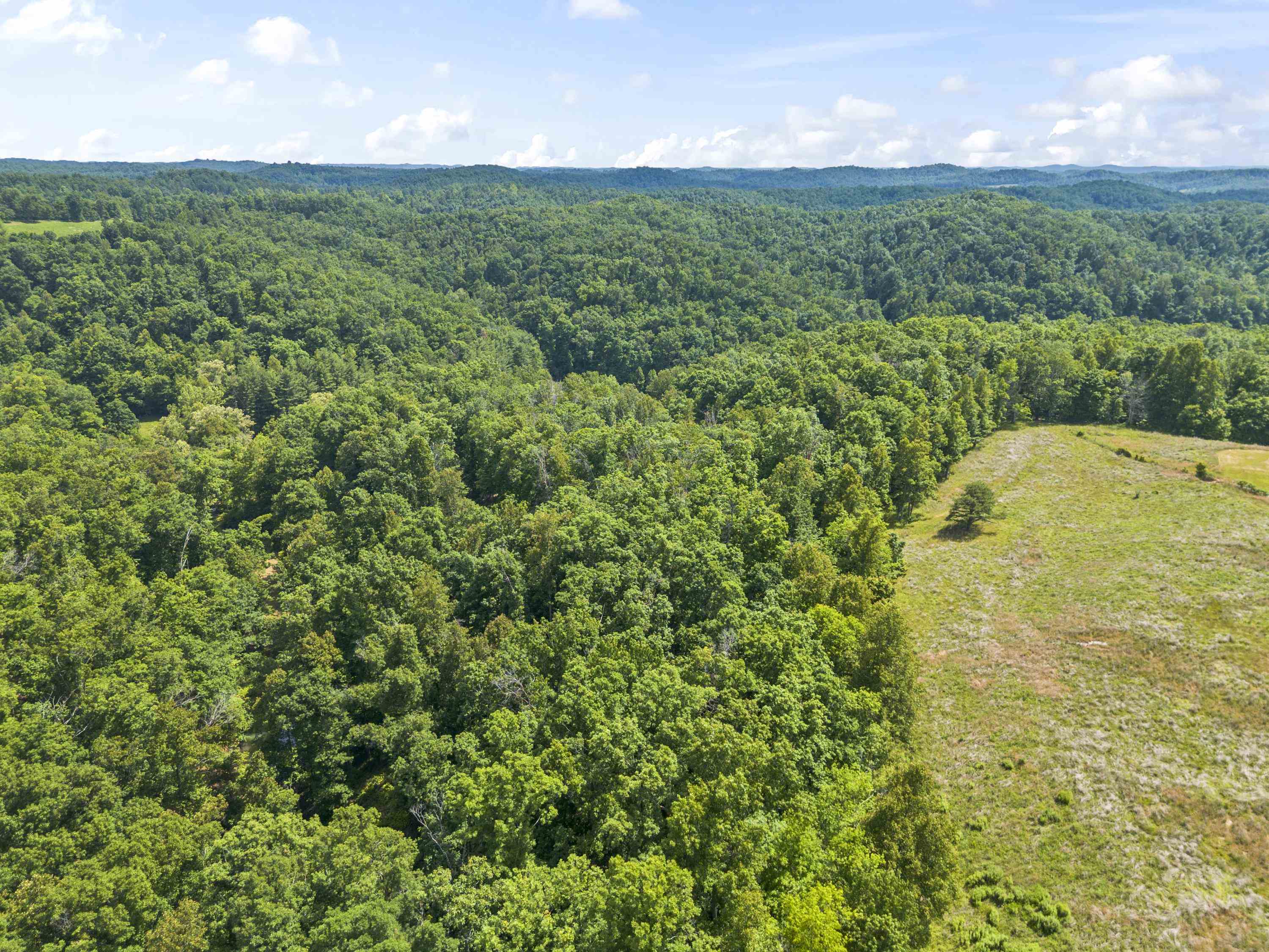 941 Tark Hill Road Grayson, KY 41143 - Photo 45 of 50