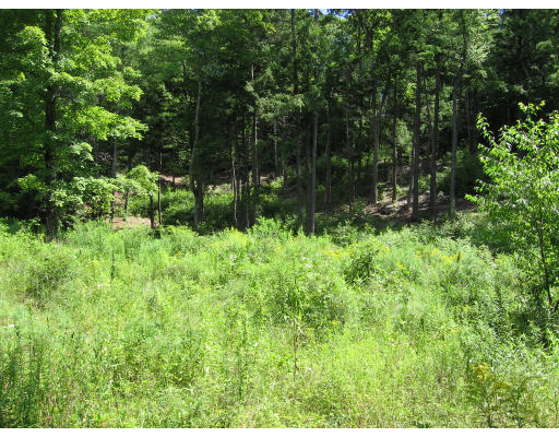 Lot 1 Warwick Road Orange, MA 01364 - Photo 1 of 1 Gallery Image 1