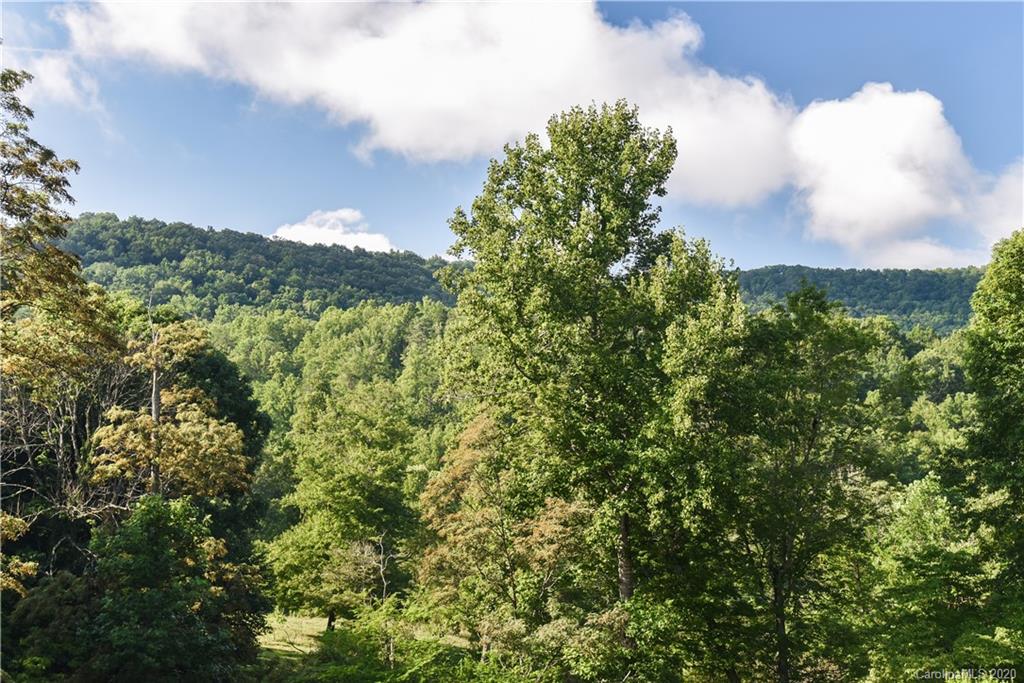 23 Elliott Farm Road Candler, NC 28715 - Photo 3 of 22 Gallery Image 3