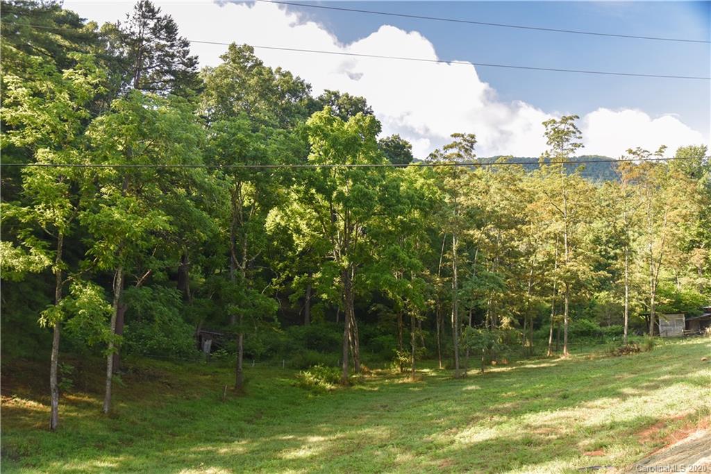 23 Elliott Farm Road Candler, NC 28715 - Photo 4 of 22 Gallery Image 4