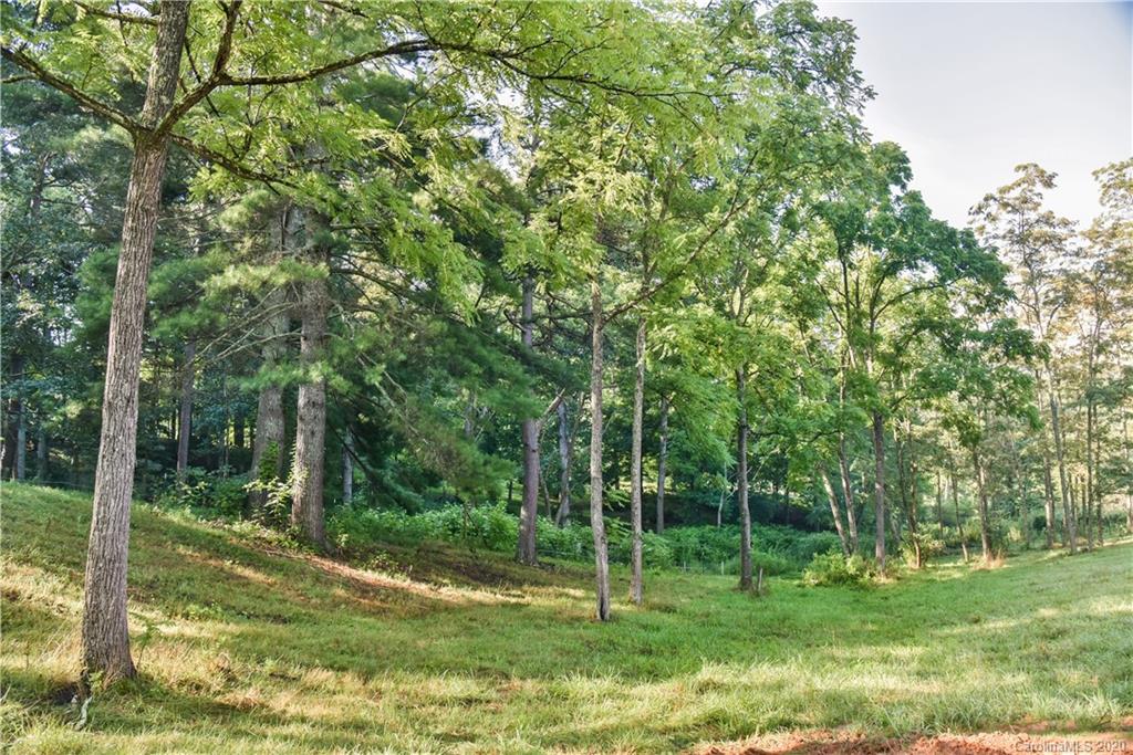 23 Elliott Farm Road Candler, NC 28715 - Photo 5 of 22 Gallery Image 5