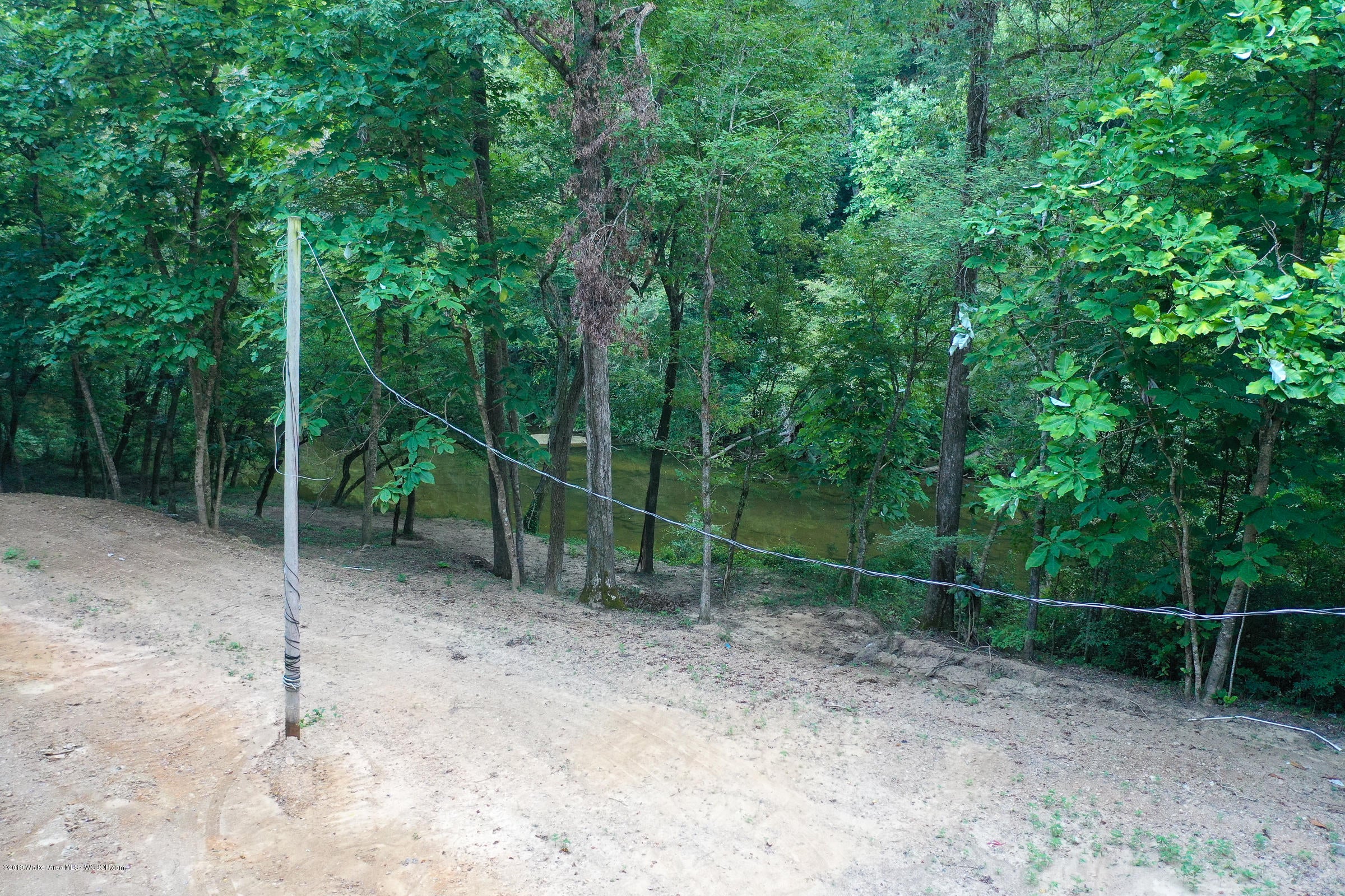 443 Old Pineywoods Road Jasper, AL 35504 - Photo 5 of 8 Gallery Image 5