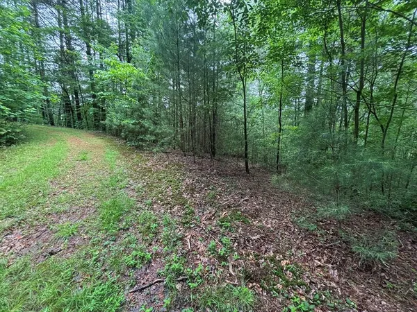 $95,000 | Lot 11 Horse Camp Drive, Hayesville, NC 28904