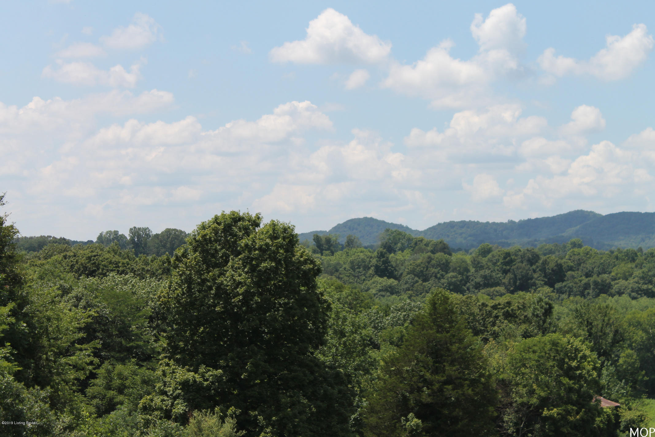 1000 Figett Bend Road Canmer, KY 42722 - Photo 11 of 61 IMG_2288