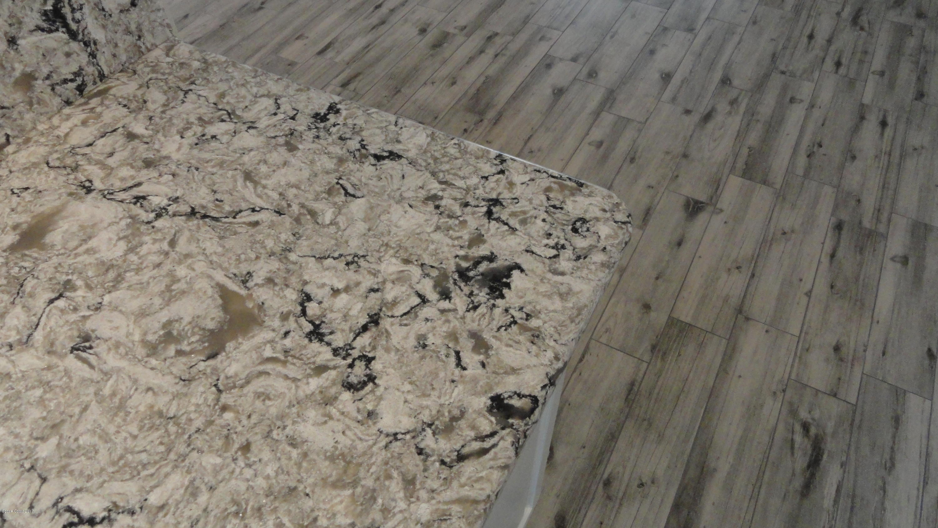 6836 Cecil Road Cocoa, FL 32927 - Photo 24 of 37 DSC00912