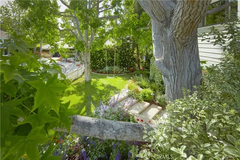 a view of a garden with plants