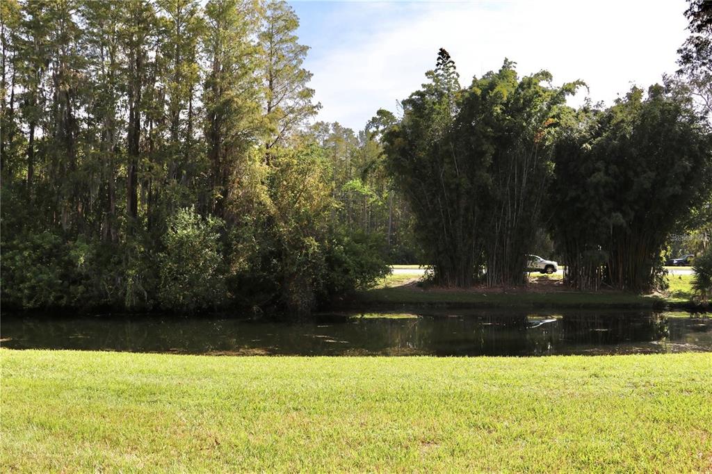 13548 Turtle Marsh Loop, Unit 413 Orlando, FL 32837 - Photo 24 of 27