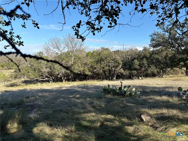 a view of dirt yard with a large tree