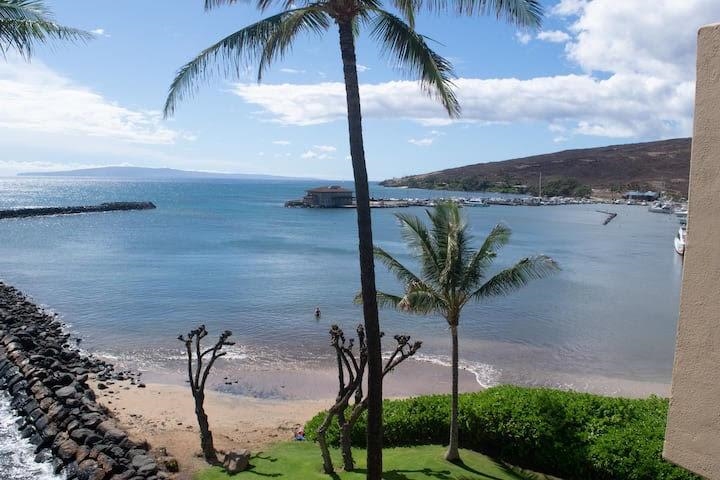 50 Hauoli Street, Unit 409 Wailuku, HI 96793 - Photo 5 of 35