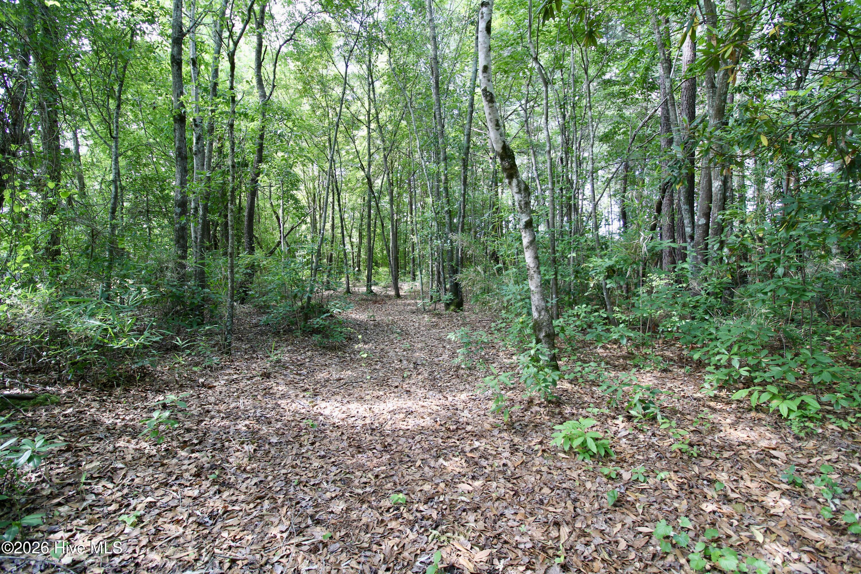 145 New Road Windsor, NC 27983 - Photo 39 of 41