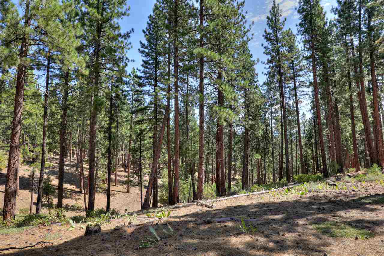 16801 Robertson Road Truckee, CA 96161 - Photo 14 of 21