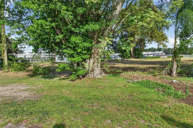 a view of a yard with plants and large trees