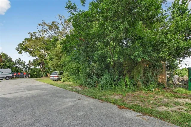 a view of a yard with plants and trees