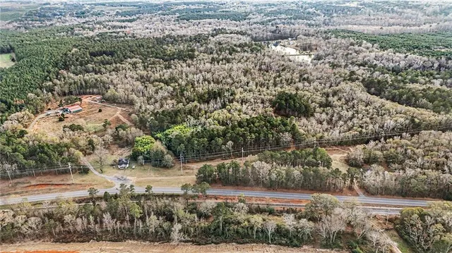 a view of a yard with trees