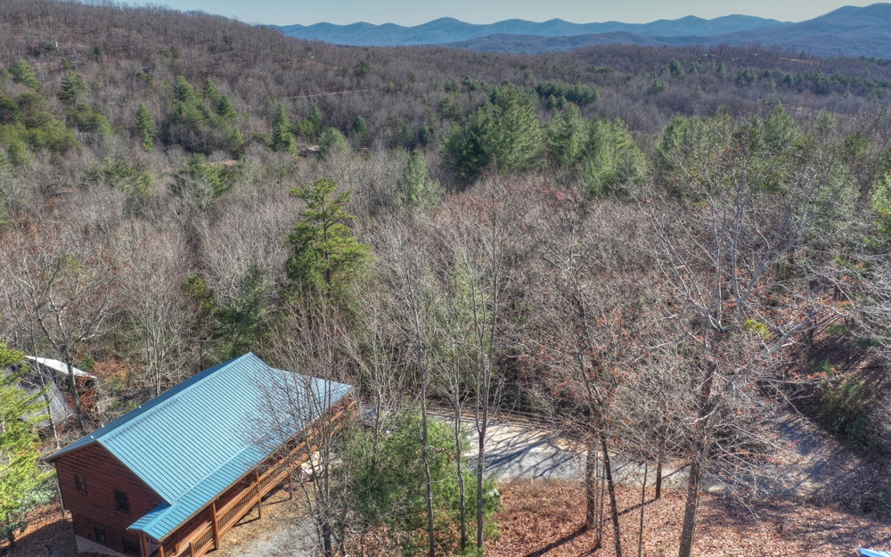 334 Mattie Mitchell Road Morganton, GA 30560 - Photo 1 of 1 Main View