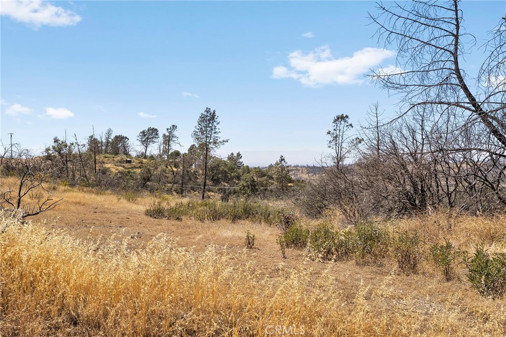 0 Bear Paw Road Chico, CA 95973 - Photo 4 of 11 Gallery Image 4